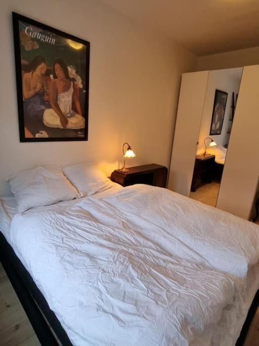 Paen Central Lejlighed Med Gratis Parkering Randers Bagian luar foto