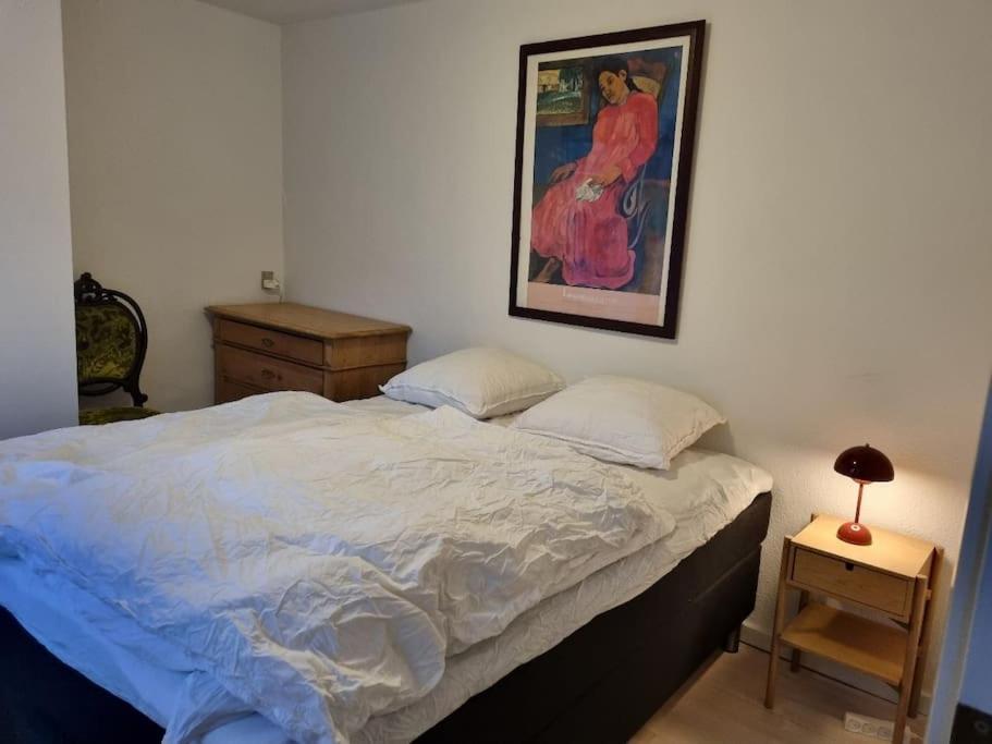 Paen Central Lejlighed Med Gratis Parkering Randers Bagian luar foto